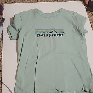 Patagonia tee